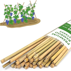 Natural Garden Bamboo Sticks