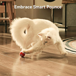 Smart Pet Ball