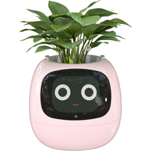 Smart Flowerpots