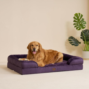 Purple Orthopedic Dog Beds