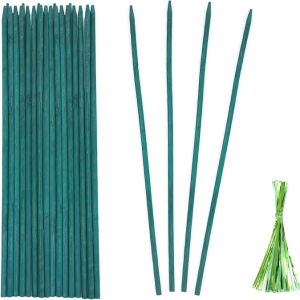 Green Bamboo Plant Stakes (25 pack)