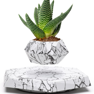 Magnetic Floating Levitating Planter (MARBLE)