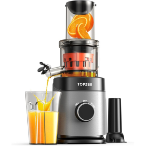 Cold Press Juicer