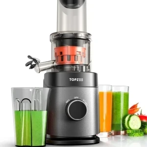 Cold Press Juicer