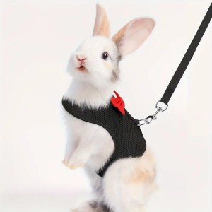 Pet rabbit leash