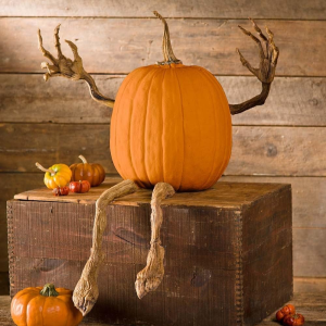 Plow & Hearth Set of 4 Bendable Pumpkin Arms and Legs