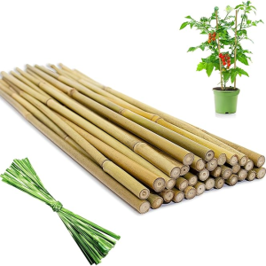 Plant Support Stakes with Twist Ties (32 pcs)