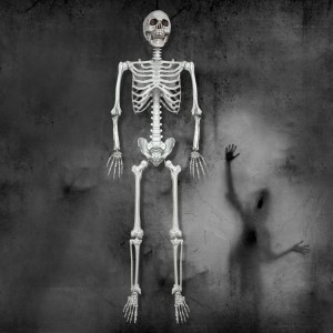 Wocst 5.4Ft Halloween Life Size Human Skeleton with Movable Joints for Halloween Props Decorations